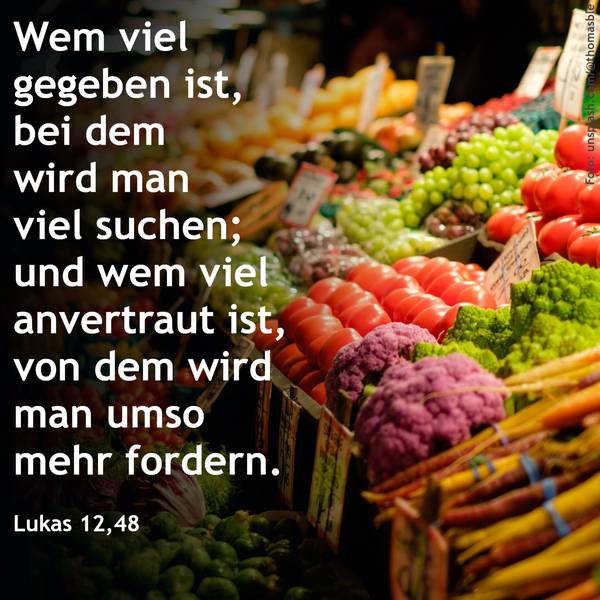 Quelle: unsplash.com/ekiba / fundus-medien.de, Fundus, redaktionell frei verwendbar, 12251